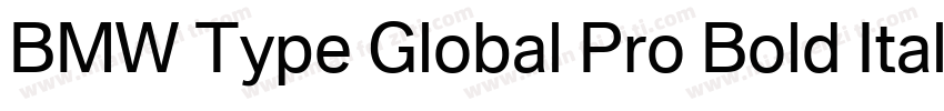 BMW Type Global Pro Bold Italic字体转换